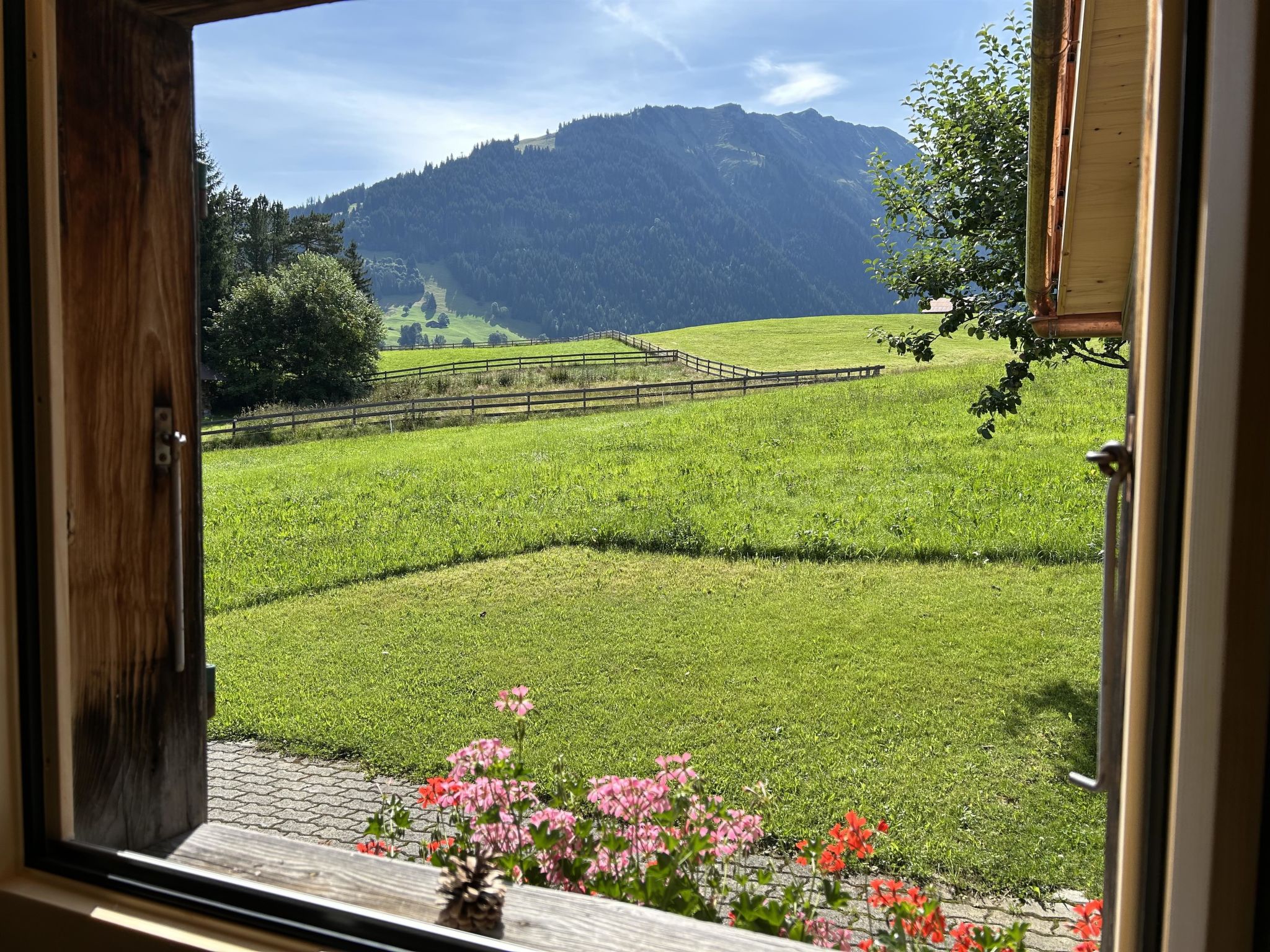 Photo of Alpenchalet Haldeli