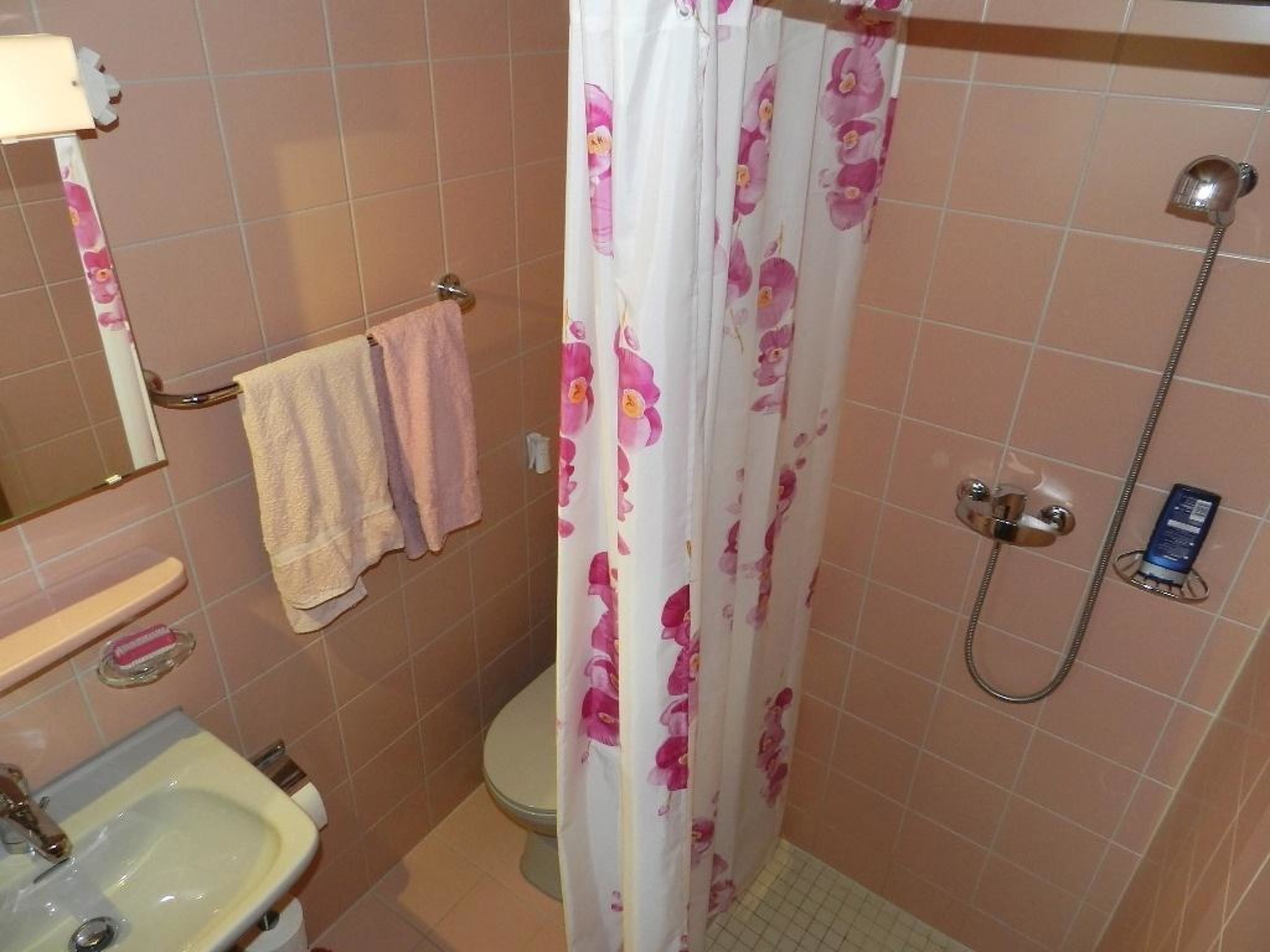 Marmotte, Chalet Appartement/Fewo, Dusche, WC 4-Bettwohnung - Binnen