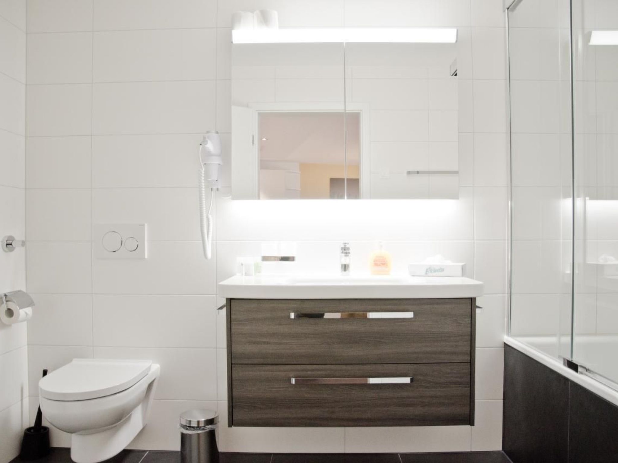 Photo of Apt. Gänseblüemli