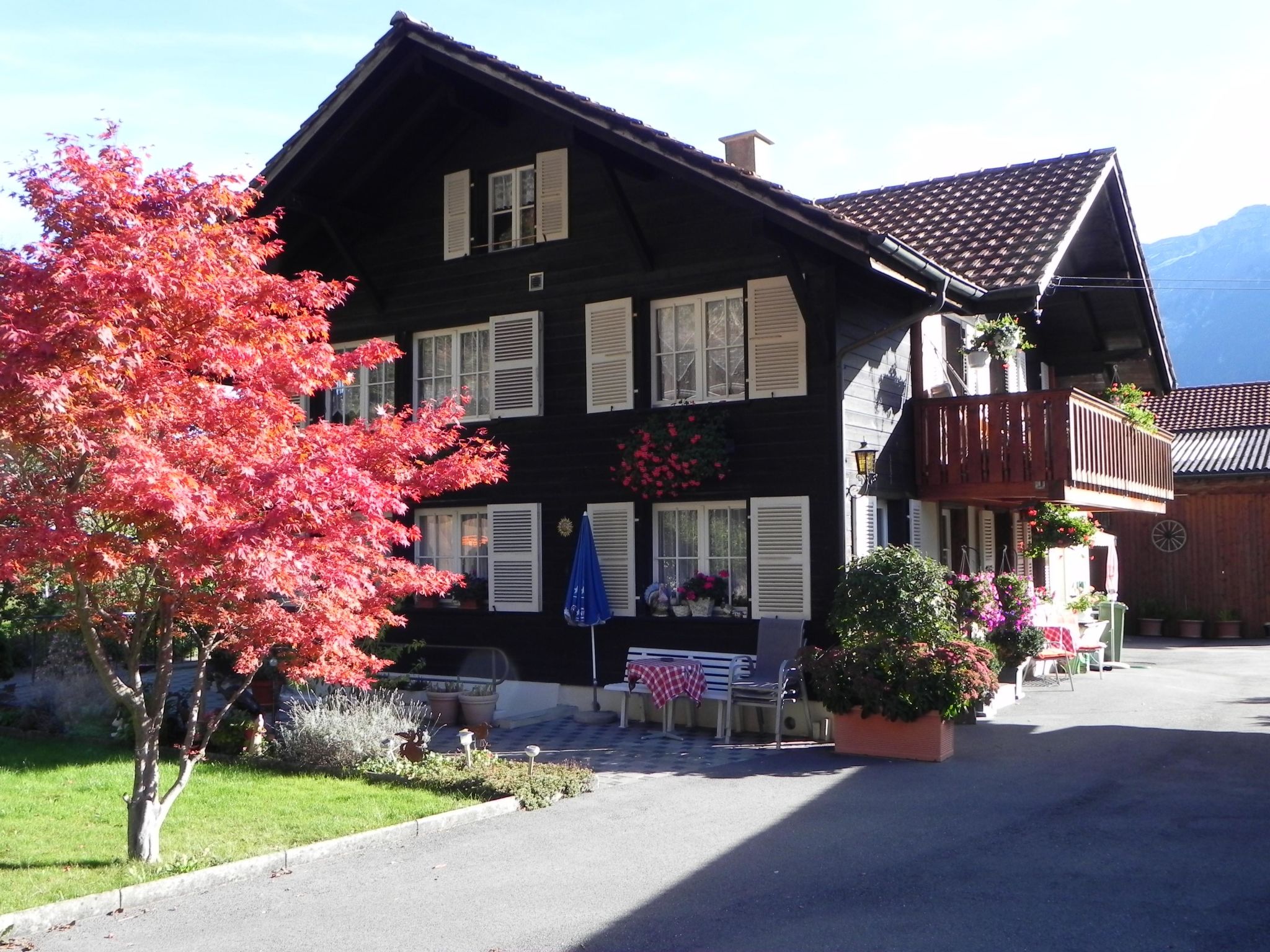 Stähli-Huus Appartement/Fewo 3-Bettwohnung