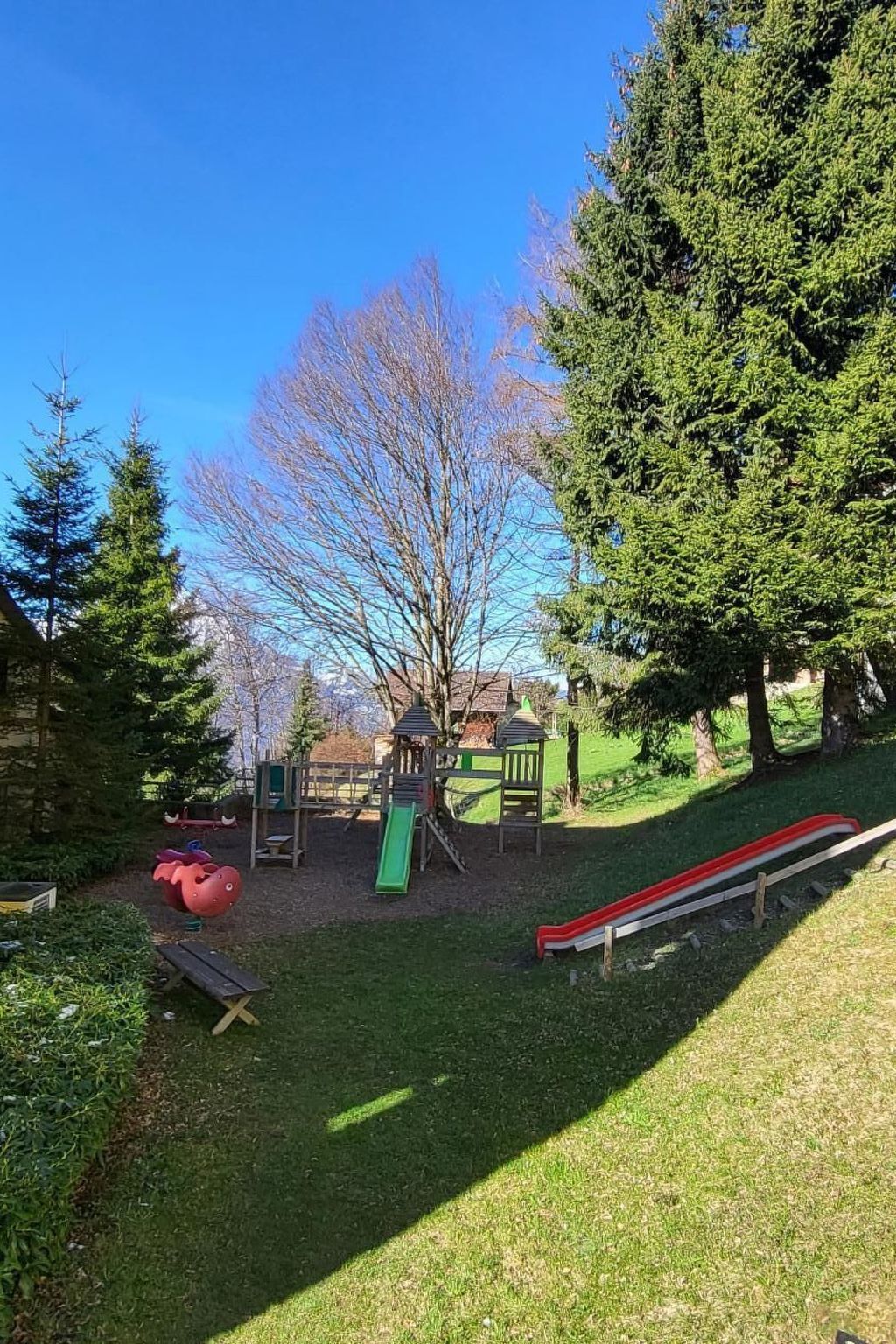 Photo of Hotel Apartment