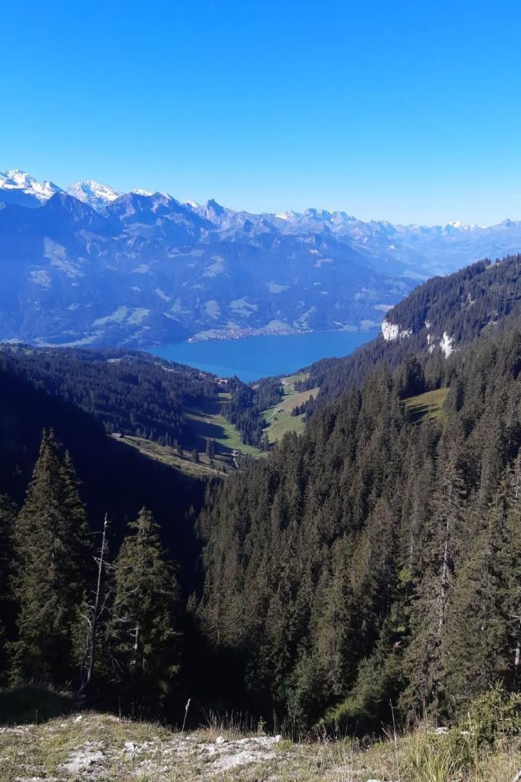 Photo of Chalet Lilo Big view