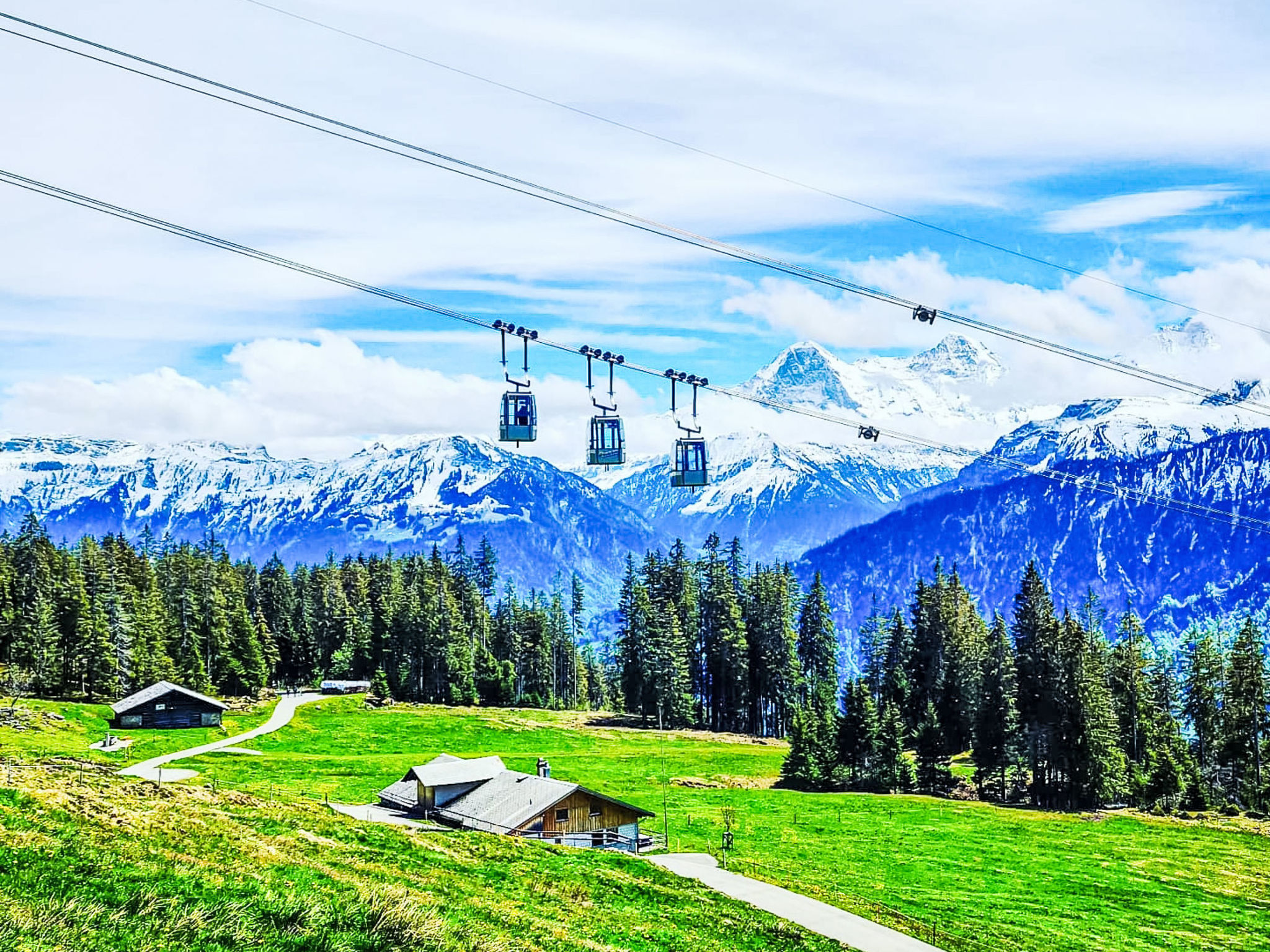 Photo of LiloTopMountainView