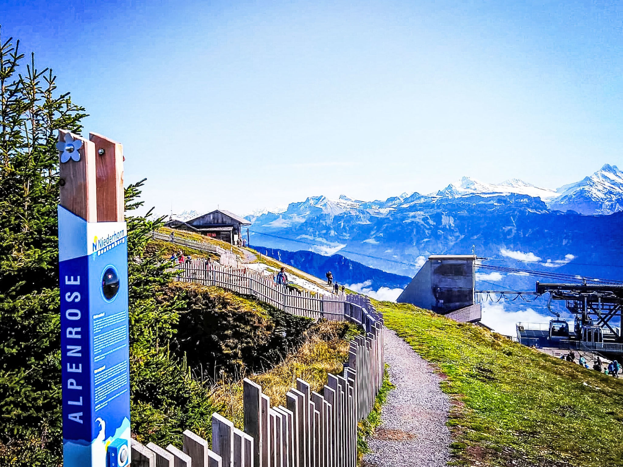 Photo of LiloTopMountainView