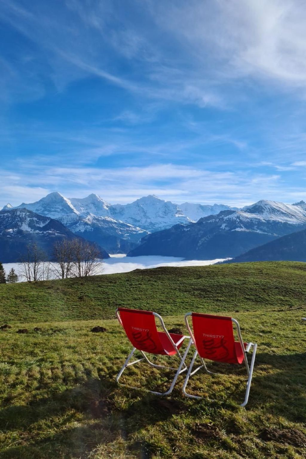 Photo of LiloTopMountainView