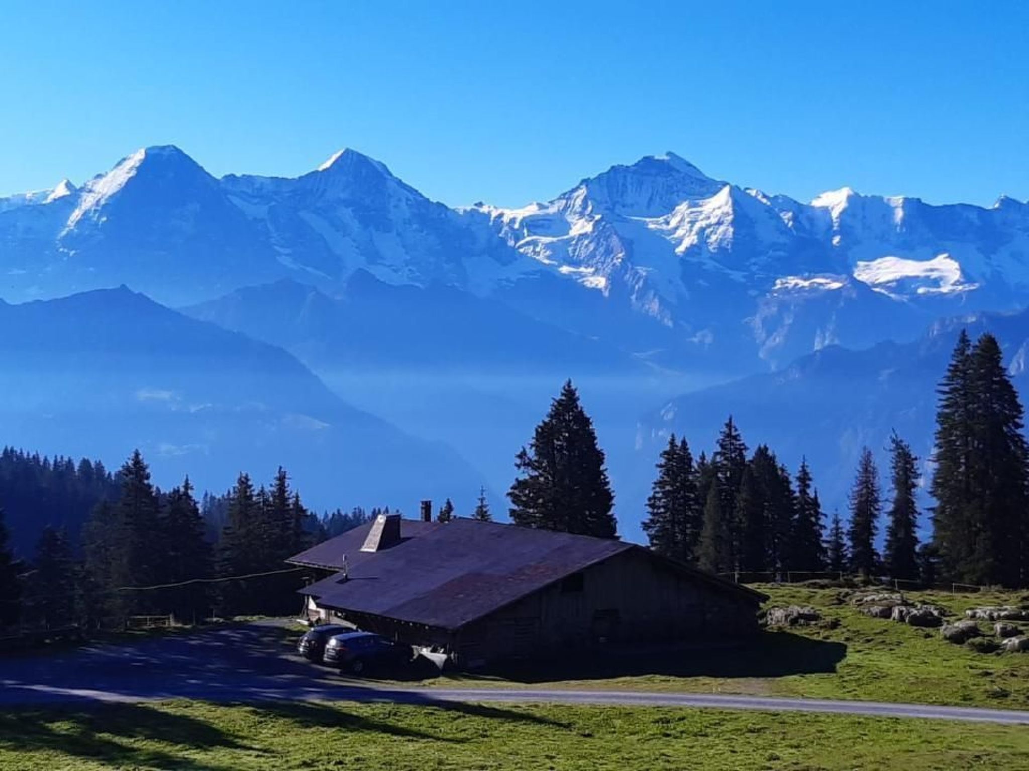 Photo of LiloTopMountainView