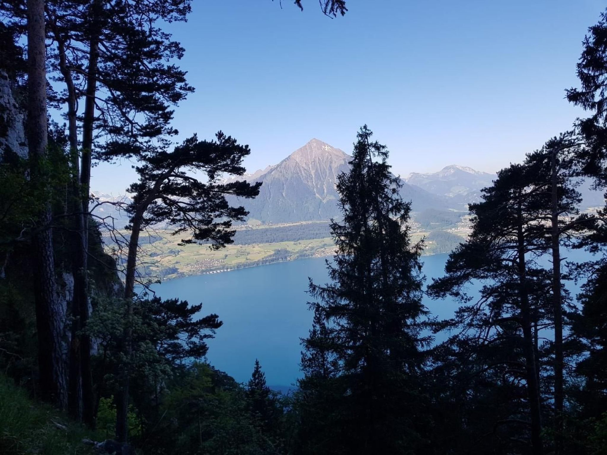 Photo of LiloTopMountainView