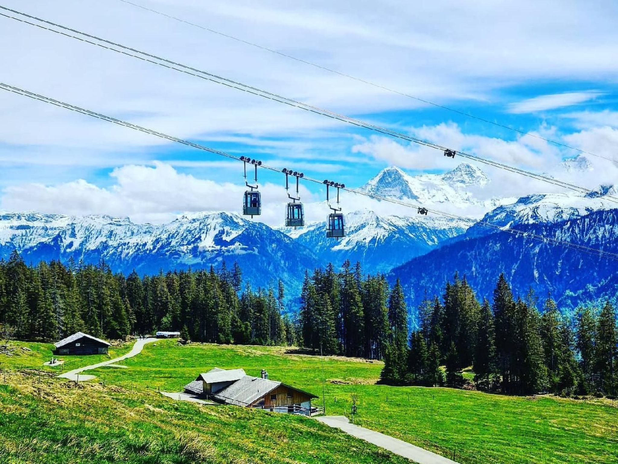 Photo of LiloTopMountainView