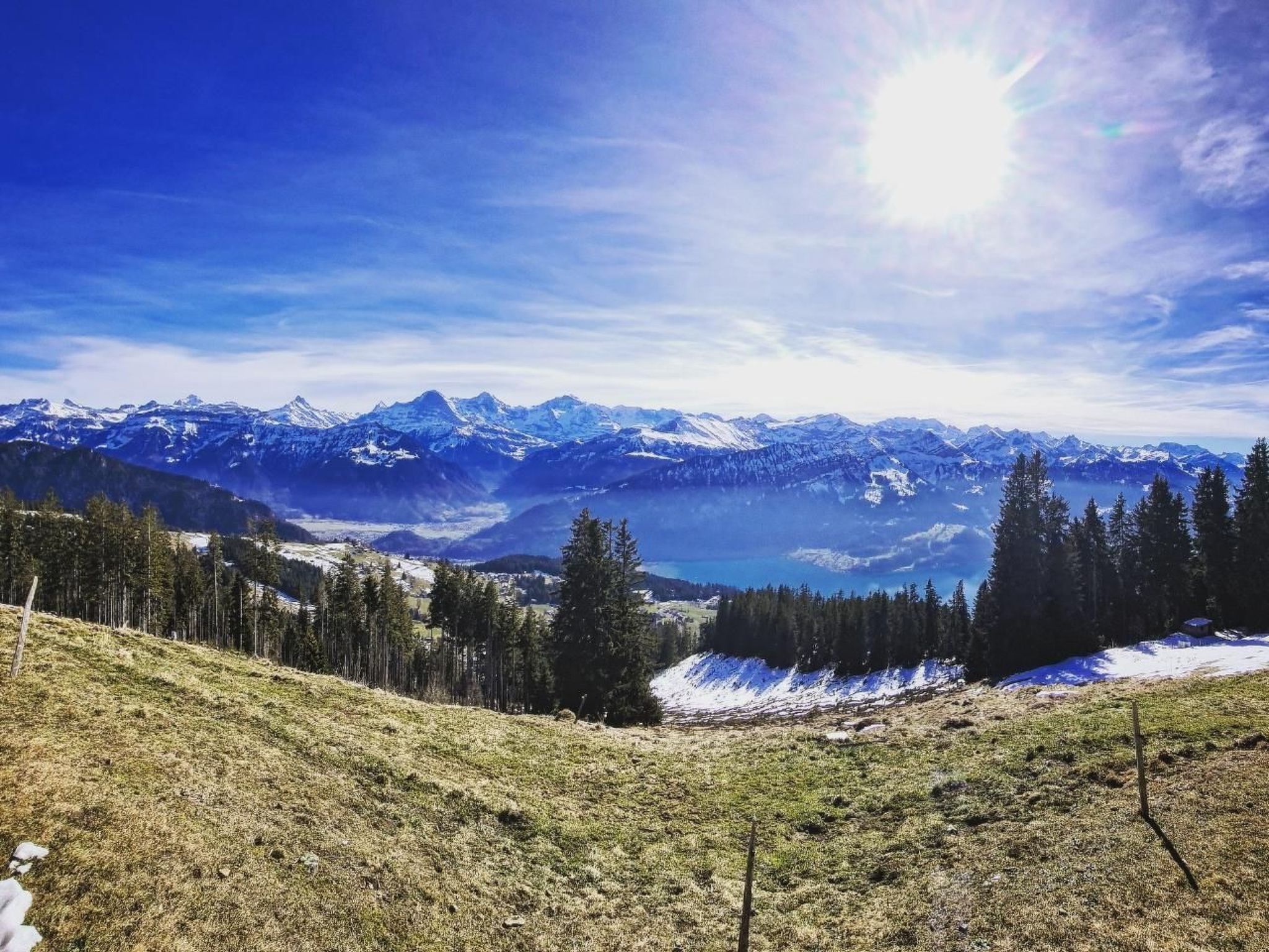 Photo of LiloTopMountainView