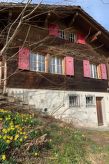 Chalet Felsli: Vrijstaand panoramachalet met uitzicht op Eiger, Mönch & Jungfrau - thumbnail 4