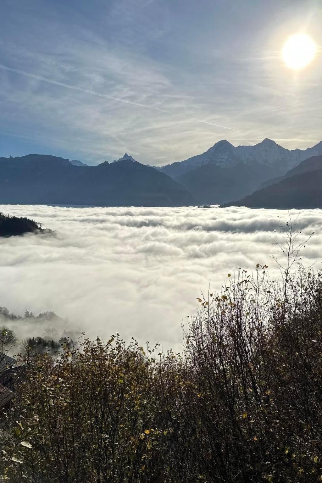 Photo of Panorama-Beatenberg