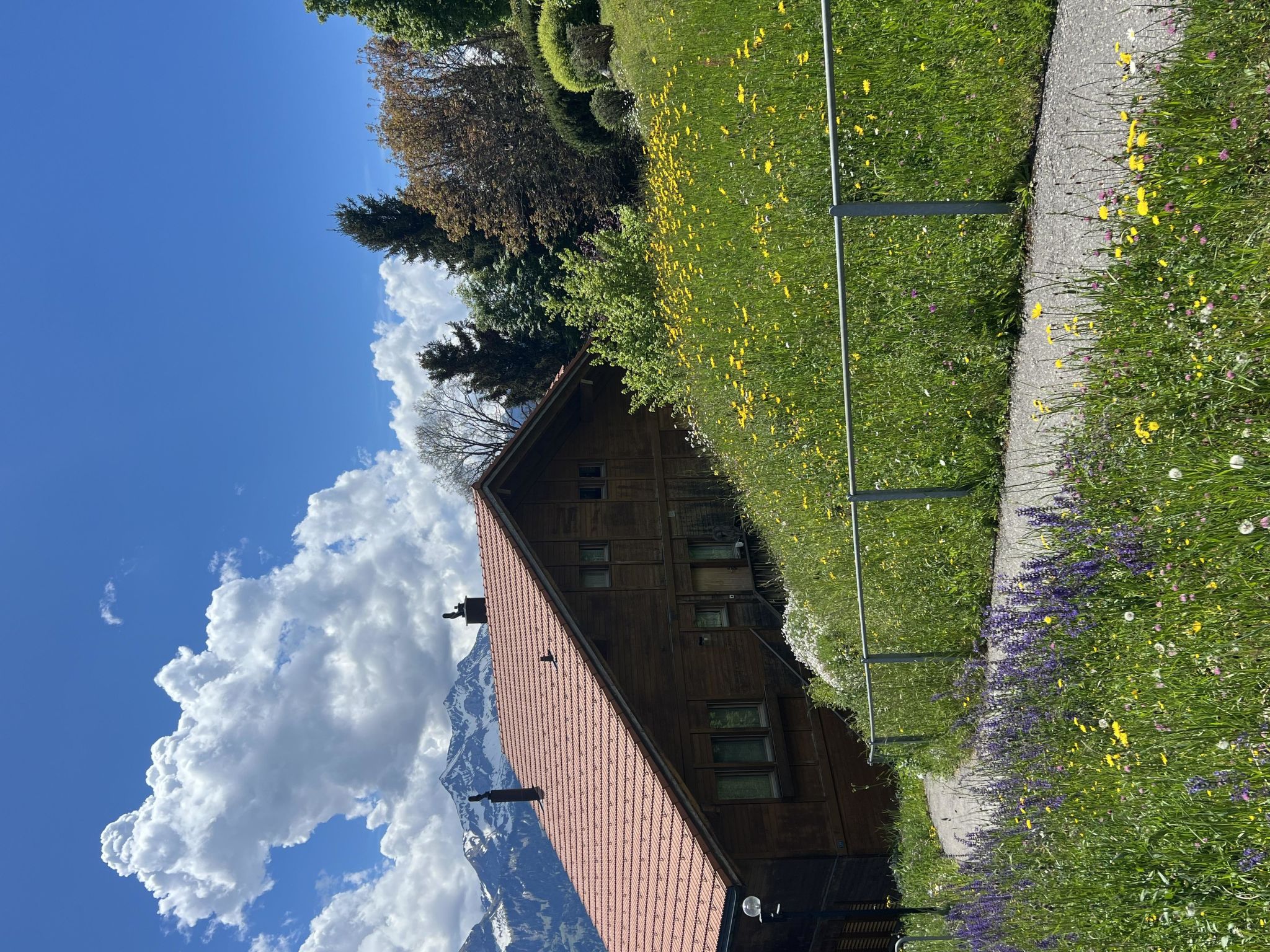 Photo of Möösli Vue