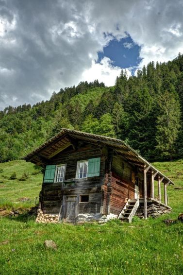 Kirschbaumhütte - Wengen