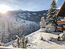 Appartamento Chalet Eiger
