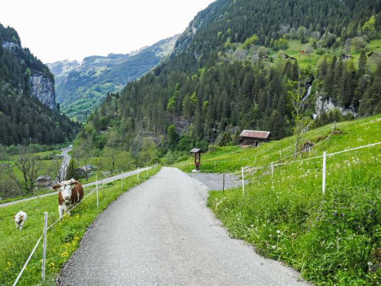 Photo of Chalet Auf dem Vogelstein