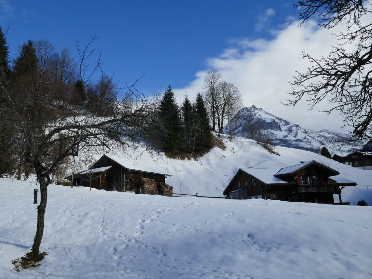 Photo of Chalet Schwendihus