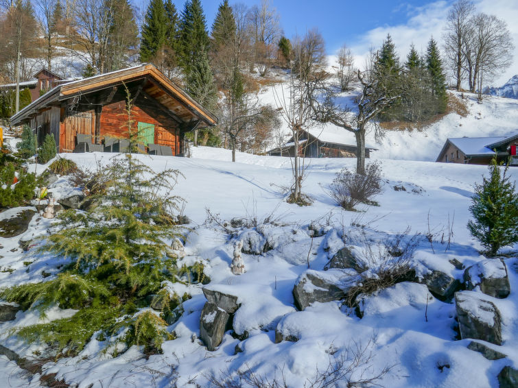 Photo of Chalet Schwendihus