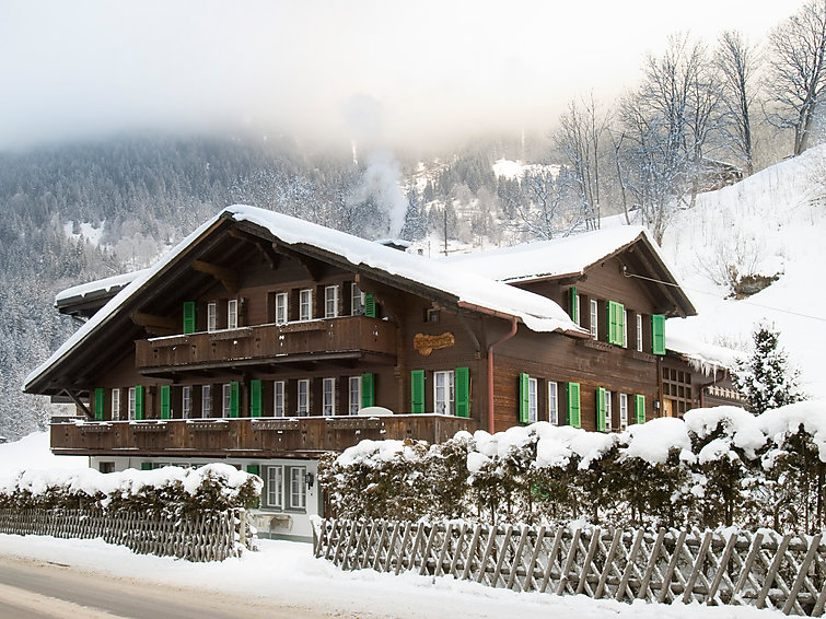Chalet Schwendihus Apartment in Grindelwald