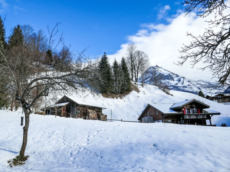 Photo of Chalet Schwendihus