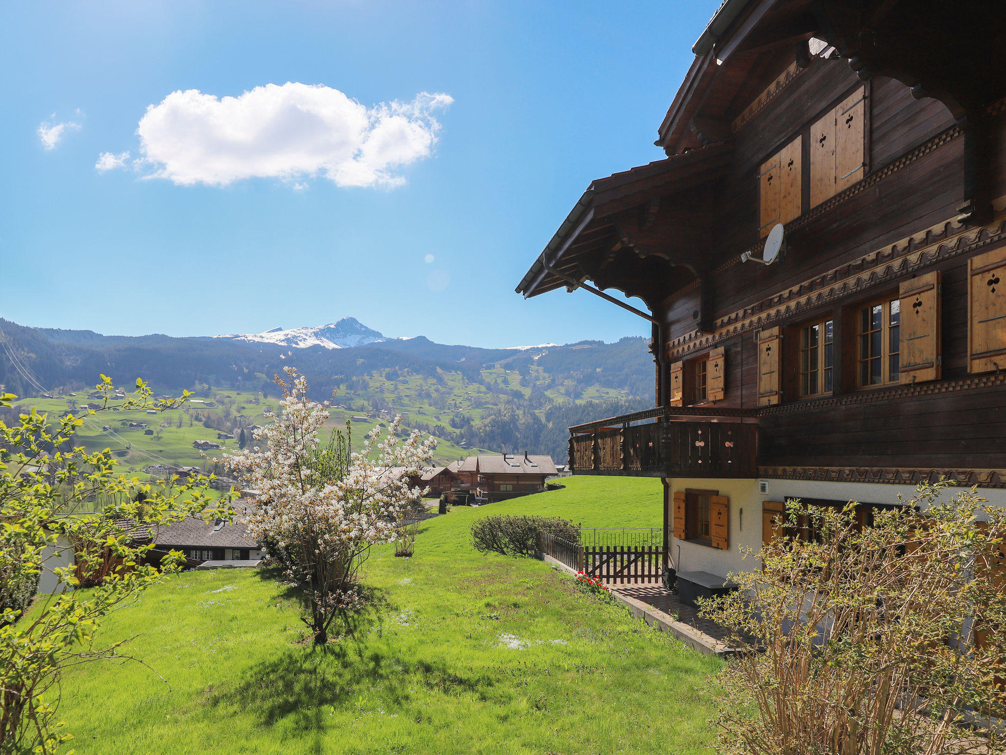 Chalet Nagano - Dehors