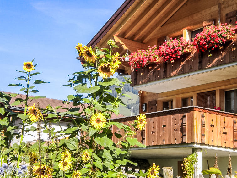 ufem Stutz Apartment in Grindelwald