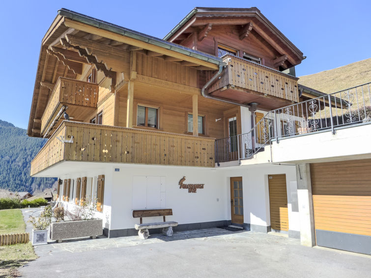 Chalet Adlerhorst OG Chalet in Grindelwald