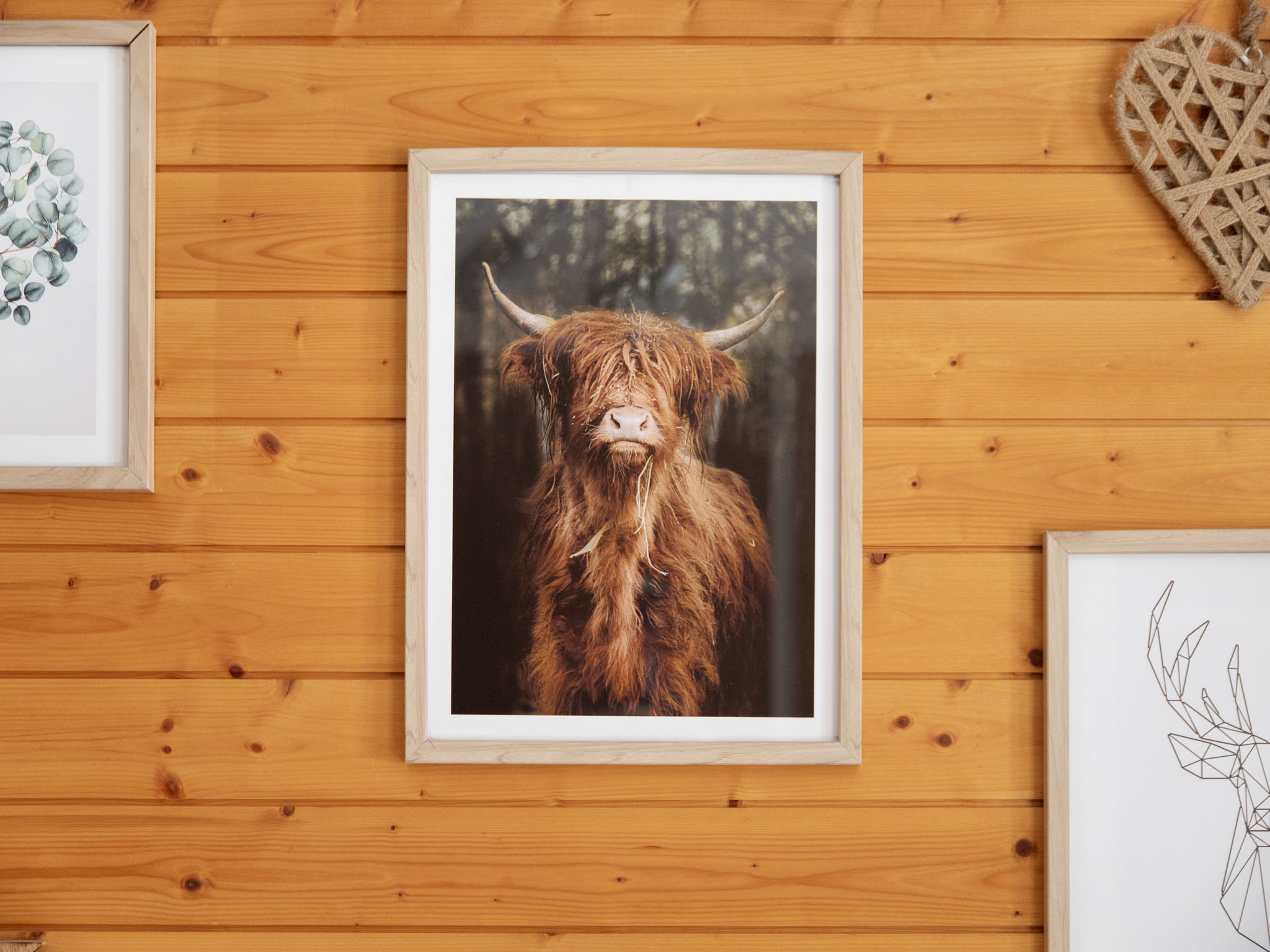 Photo of SnowKaya Grindelwald