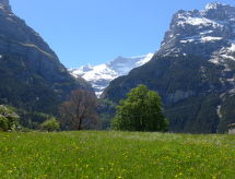 Appartement Chalet Almisgässli