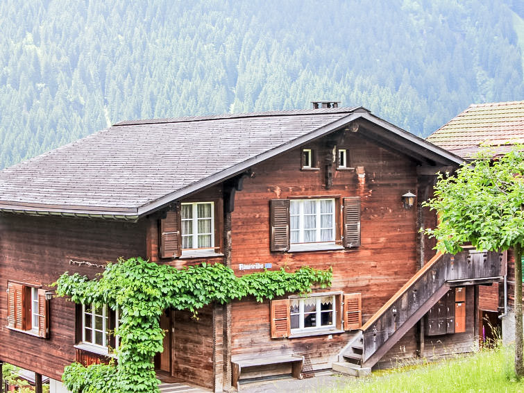 Chalet Almisräba Apartment in Grindelwald