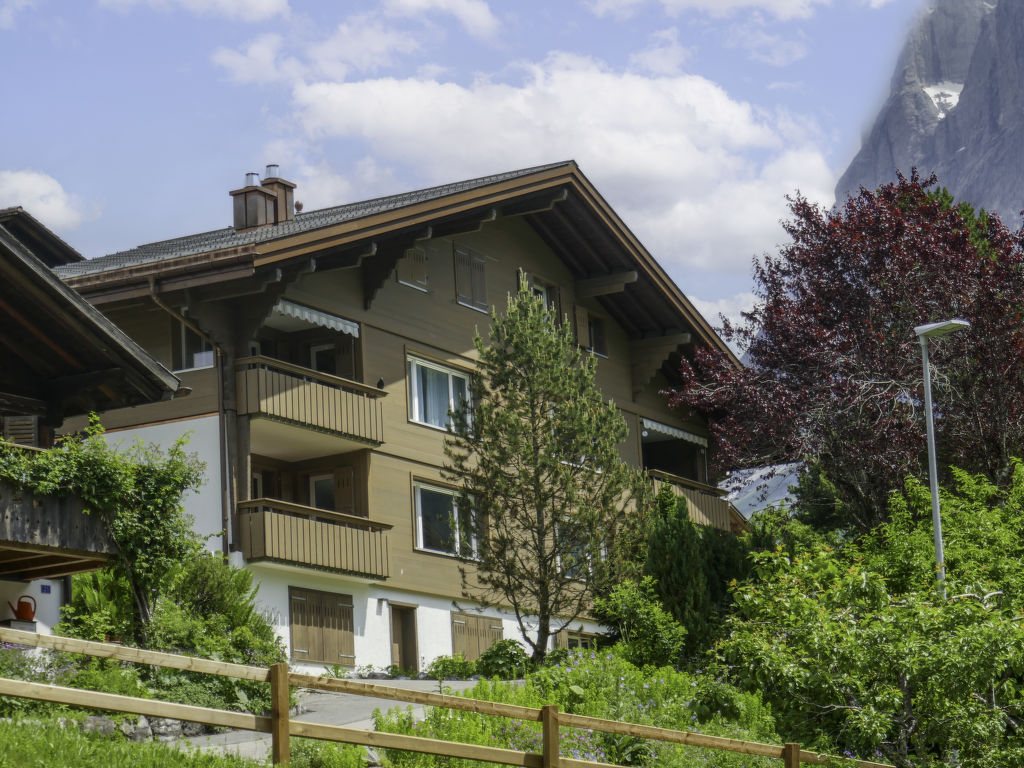 Appartement Chalet Almis 5 in Zwitserland