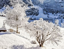 Apartment Chalet Bärgsunna