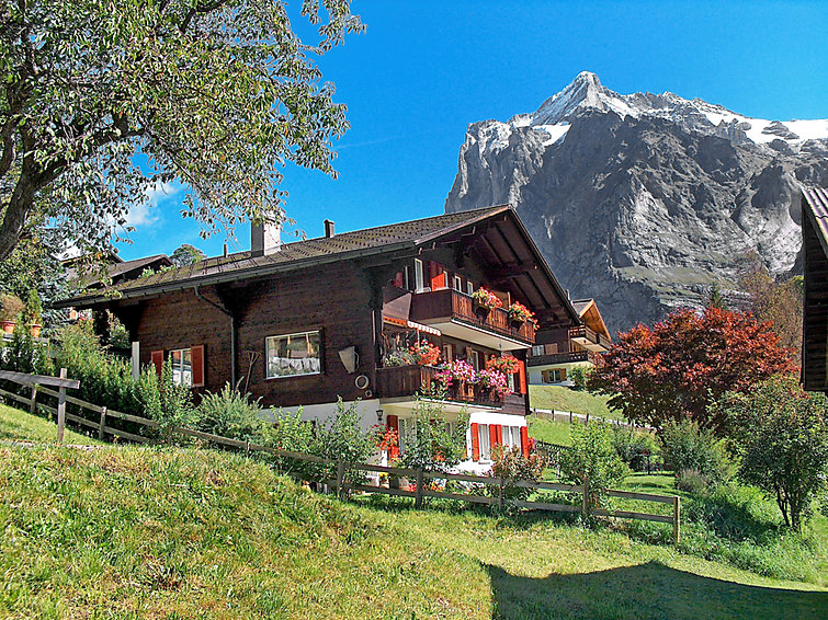 Chalet Bärgsunna Apartment in Grindelwald