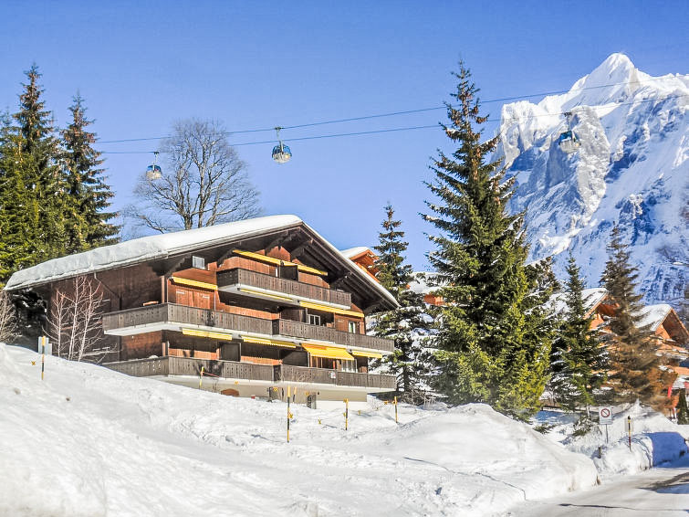 Appartement Chalet Bodmisunne