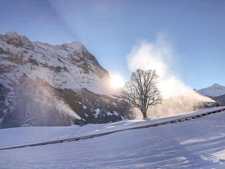 Photo of Chalet Bodmisunne