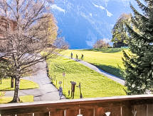 Chalet Bodmisunne: 5-persoons appartement direct aan de piste in Grindelwald - thumbnail 5