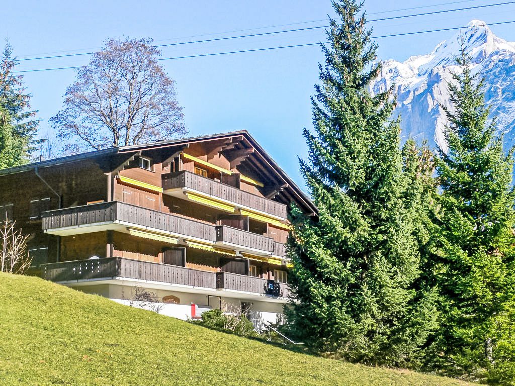 Appartement Chalet Bodmisunne