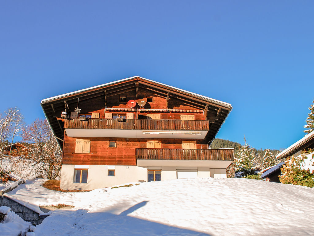 Ferienwohnung Chalet Blaugletscher Ferienwohnung  Jungfrauregion