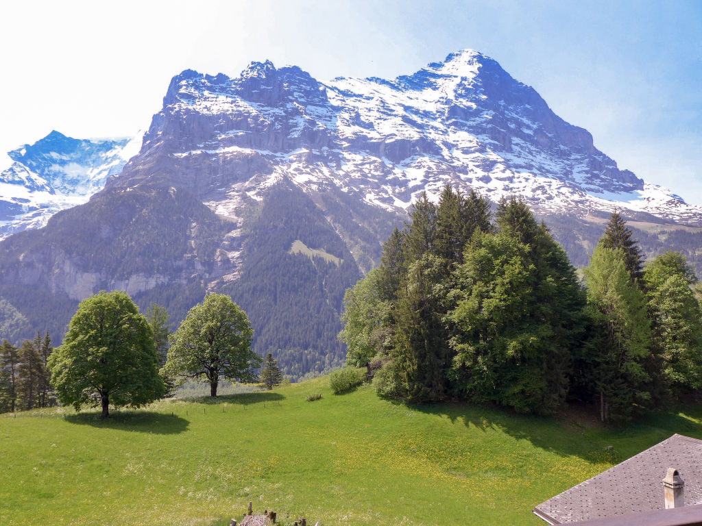Bild 15