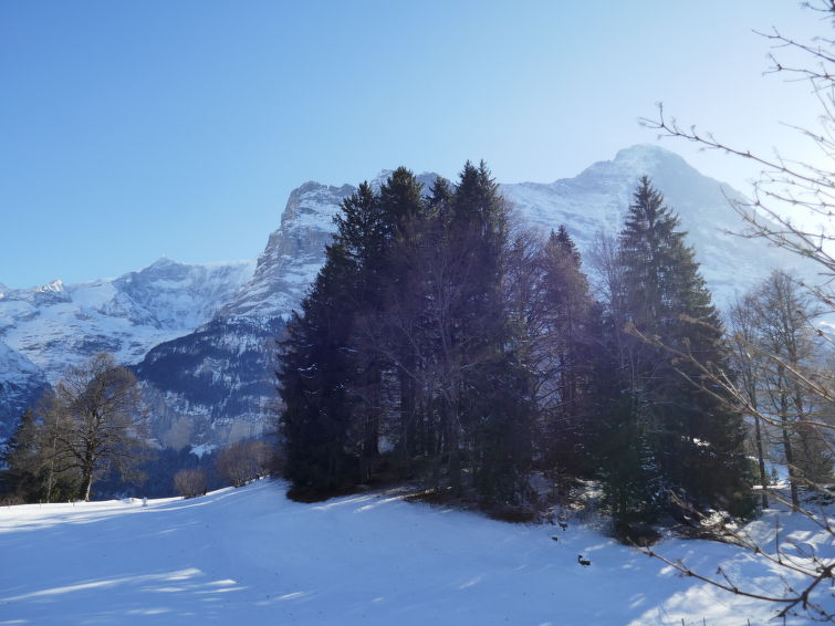 Photo of Chalet Blaugletscher