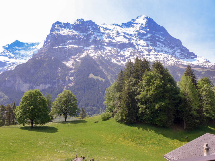 Slide3 - Chalet Blaugletscher