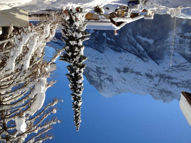 Slide2 - Chalet Bergfink