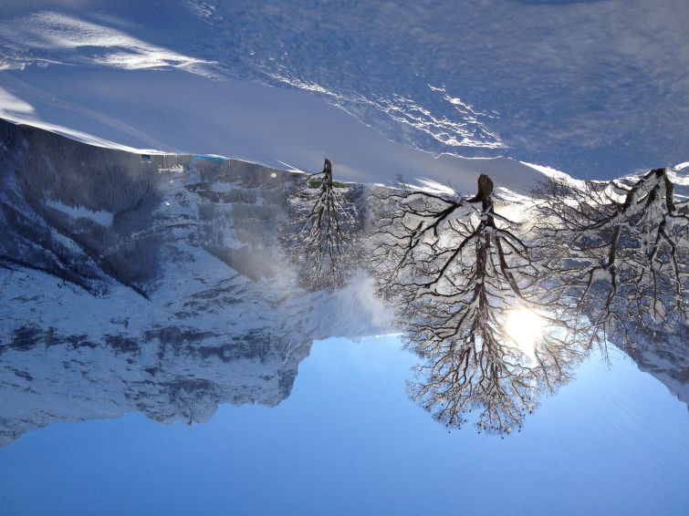 Photo of Chalet Bergfink