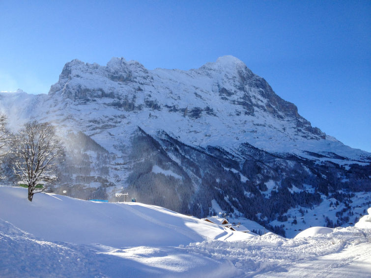 Slide4 - Chalet Bergfink