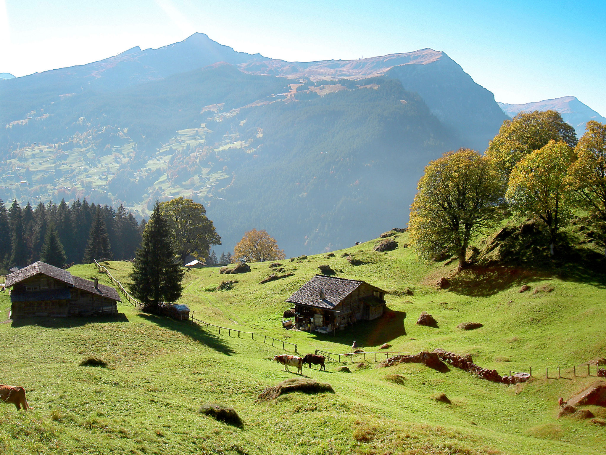 Photo of Chalet Bergfink