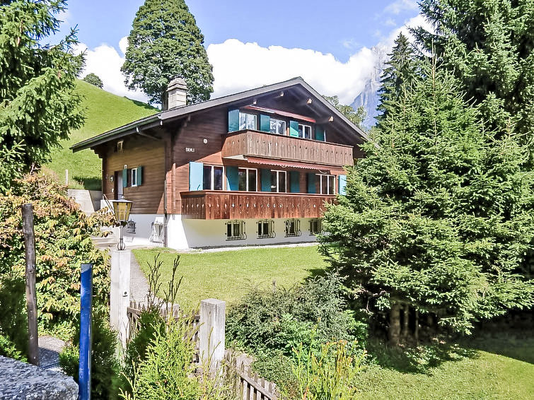 Chalet Bienli