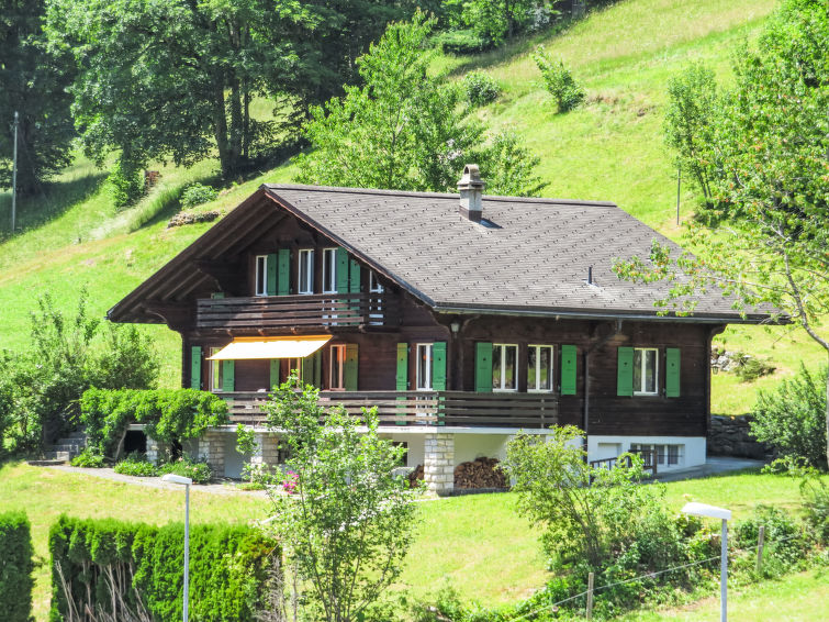 Chalet Pitschun Chalet in Grindelwald