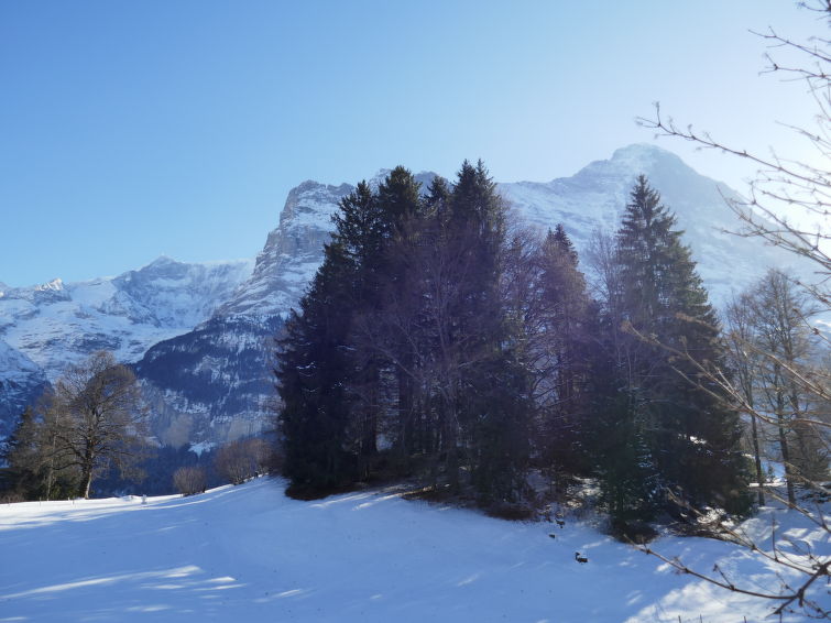 Photo of Chalet Grindelwaldgletscher