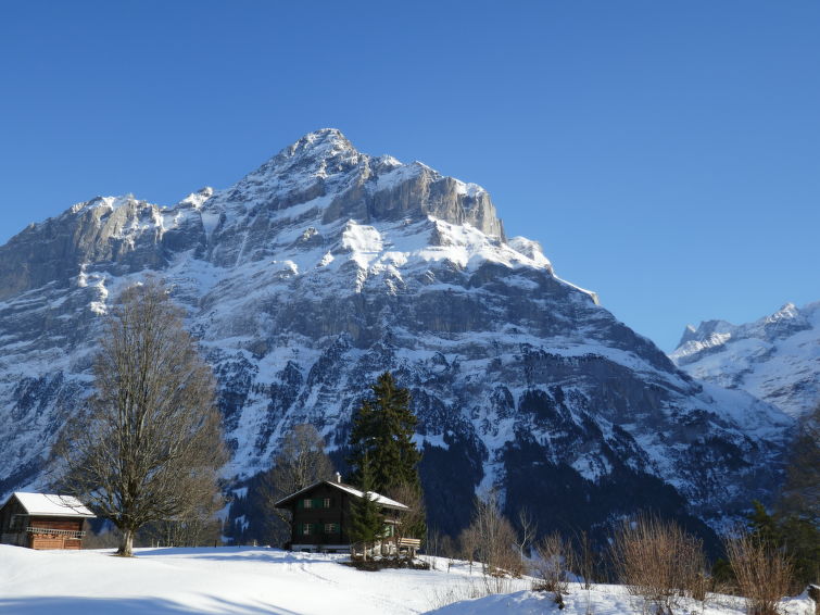 Photo of Chalet Grindelwaldgletscher