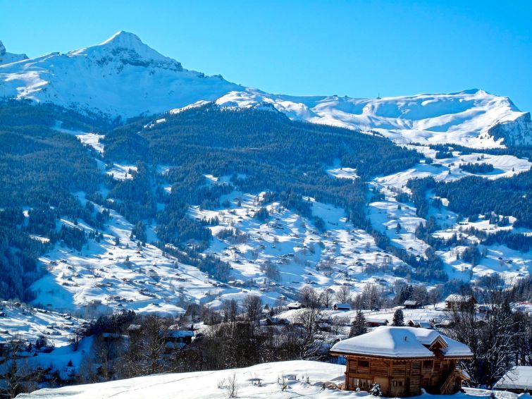 Photo of Chalet Grindelwaldgletscher