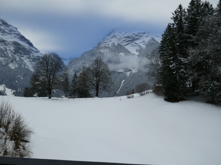 Photo of Chalet Grindelwaldgletscher